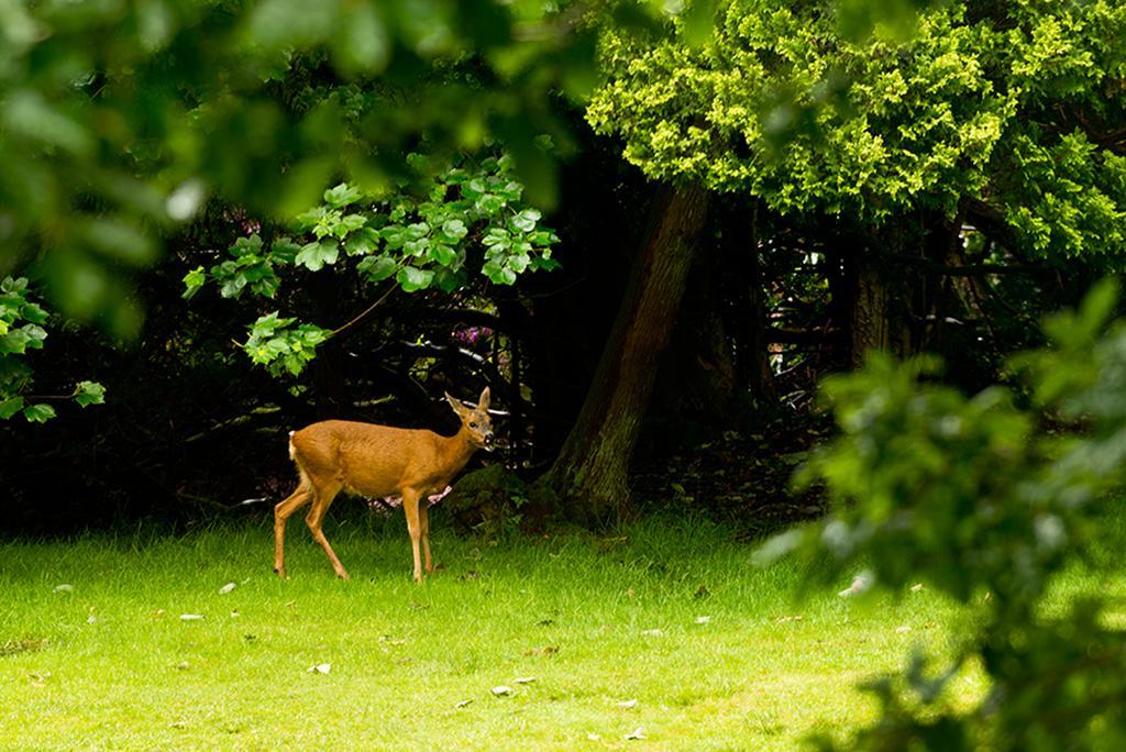 Yha Grasmere Butharlyp Howe Luaran gambar
